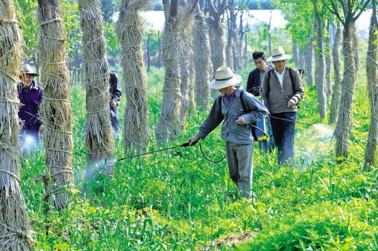 �a(ch��n)Ʒ���Ę��}