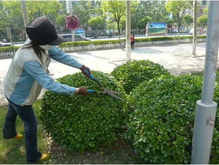 �a(ch��n)Ʒ���Ę��}