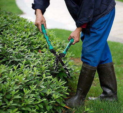 �a(ch��n)Ʒ���Ę��}